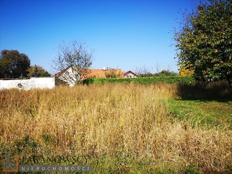 Działka budowlana na sprzedaż Zielonki 1 824m2 Foto 6