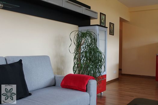 Mieszkanie trzypokojowe na sprzedaż Zakopane 75m2 Foto 3