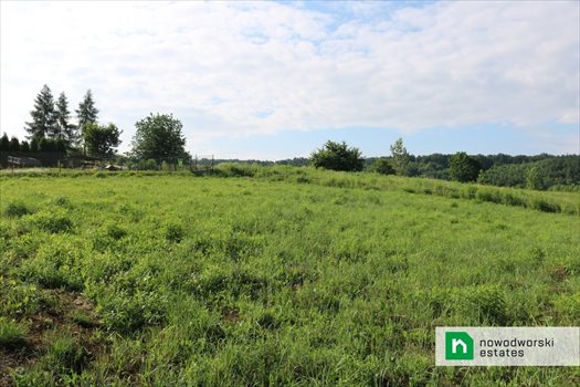 Działka budowlana na sprzedaż Iwanowice Dworskie 1 700m2 Foto 2