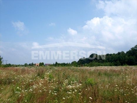 Działka inwestycyjna na sprzedaż Nałęczów 20 400m2 Foto 4