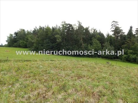 Działka budowlana na sprzedaż Mszana Dolna 6 177m2 Foto 5