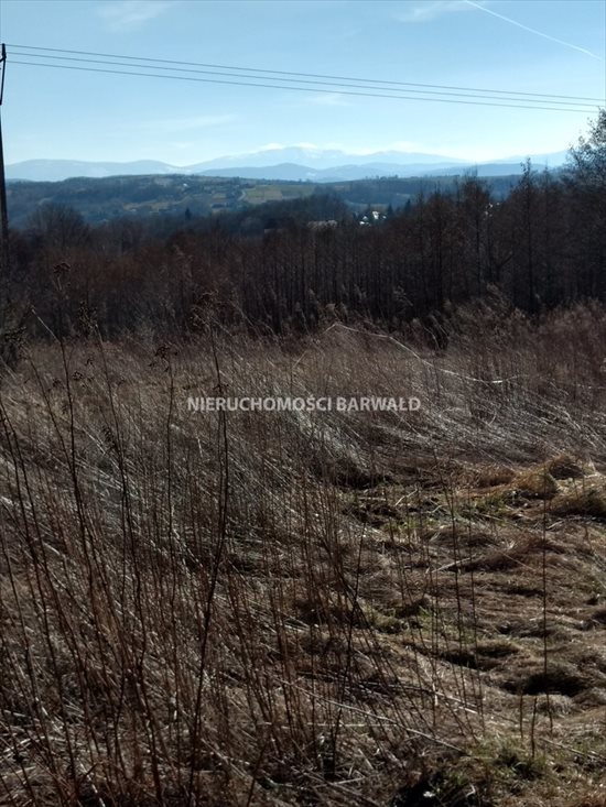 Działka inna na sprzedaż Barwałd Średni 1 900m2 Foto 3