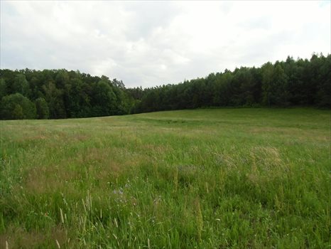 Dom na sprzedaż Krępkowice 140m2 Foto 11