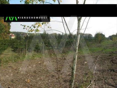 Działka budowlana na sprzedaż Czerniewo, Tereny rekreacyjne, Gdańska 1 500m2 Foto 1