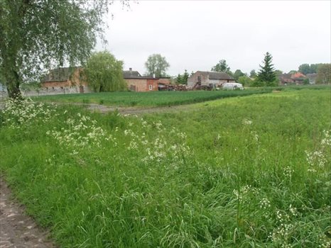 Działka budowlana na sprzedaż Pyrzyce 1 256m2 Foto 5