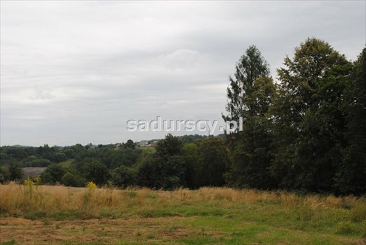 Działka inna na sprzedaż Wola Nieszkowska 9 300m2 Foto 5