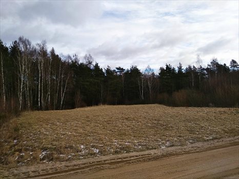 Działka leśna na sprzedaż Głazica, Szemud 14 000m2 Foto 3