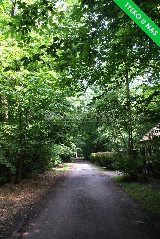 Działka budowlana na sprzedaż Podkowa Leśna 2 343m2 Foto 3