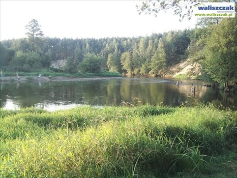 Działka rekreacyjna na sprzedaż Szarbsko 4 570m2 Foto 6