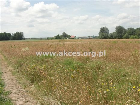 Działka rolna na sprzedaż Pawłówka 71 900m2 Foto 2