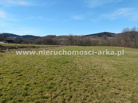 Działka budowlana na sprzedaż Skrzydlna 922m2 Foto 2