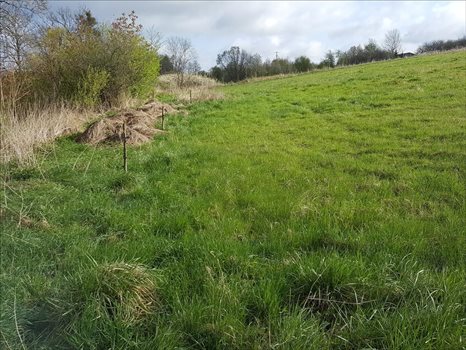 Działka inna na sprzedaż Łęcze, Tolkmicko 19 000m2 Foto 4