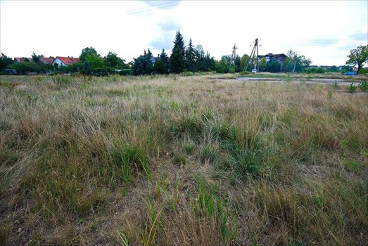 Działka budowlana na sprzedaż Wrocław, Stabłowice, Starogajowa 4 000m2 Foto 7