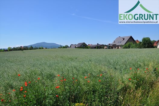 Działka budowlana na sprzedaż Rogów Sobócki, Pogodna 1 154m2 Foto 1