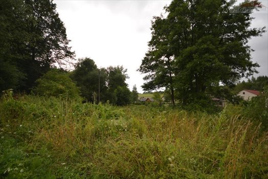 Działka budowlana na sprzedaż Przybówka 4 300m2 Foto 2