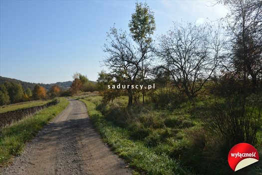 Działka budowlana na sprzedaż Grajów 3 700m2 Foto 7