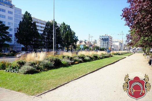 Lokal użytkowy na wynajem Gdynia, Śródmieście, Skwer Kościuszki 15m2 Foto 10