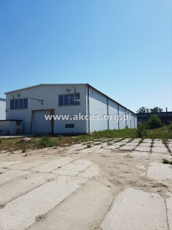 Lokal użytkowy na wynajem Tarczyn 1 168m2 Foto 3