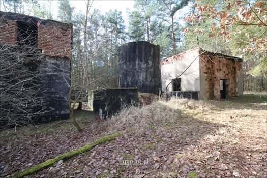 Lokal użytkowy na sprzedaż Borek 50m2 Foto 3