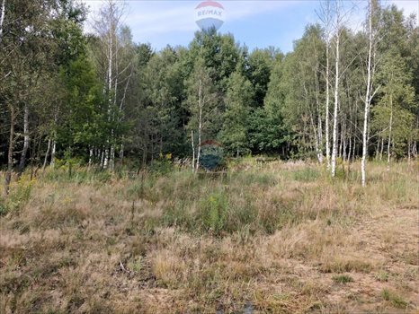 Działka siedliskowa na sprzedaż Strzegowa 14 599m2 Foto 8