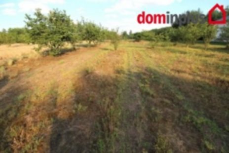 Działka inna na sprzedaż Czarne Błoto 1 500m2 Foto 4
