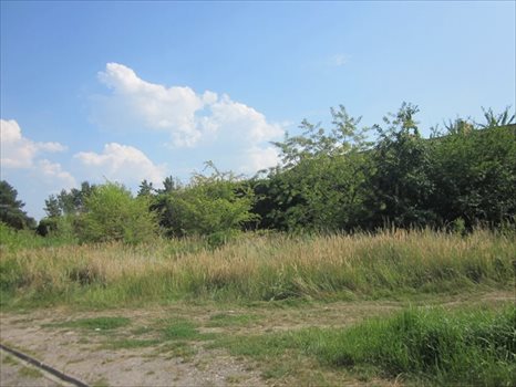 Działka budowlana na sprzedaż Wołczkowo 1 440m2 Foto 1