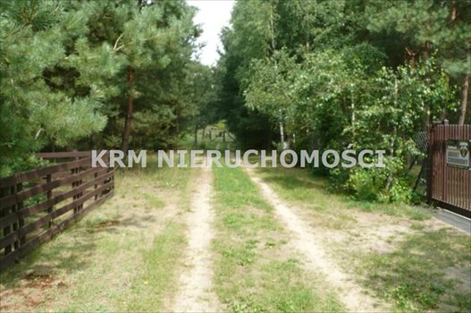 Działka rekreacyjna na sprzedaż BORY TUCHOLSKIE, LIPY, gm. STARA KISZEWA 1 012m2 Foto 3