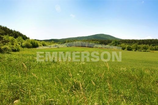 Działka budowlana na sprzedaż Sulistrowice, Sulistrowice 981m2 Foto 3