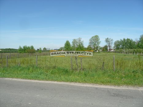 Działka budowlana na sprzedaż Dobiesz 4 992m2 Foto 5