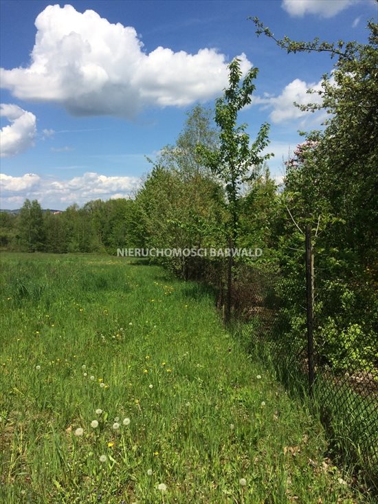 Działka budowlana na sprzedaż Kalwaria Zebrzydowska 7 100m2 Foto 3