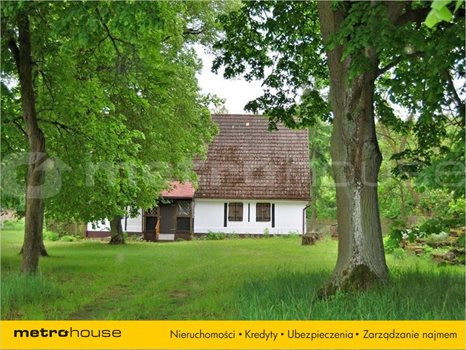 Działka siedliskowa na sprzedaż Pąchy, Miedzichowo 11 897m2 Foto 4