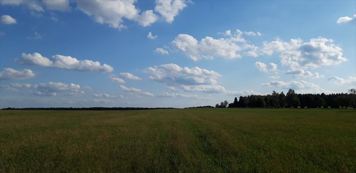 Działka rolna pod dzierżawę Ostrowąsy, pole 650 000m2 Foto 4