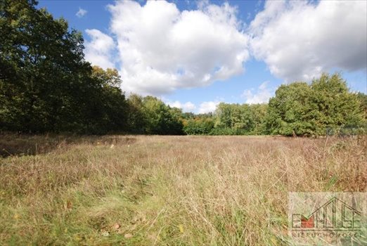 Działka budowlana na sprzedaż Radecz 1 000m2 Foto 2