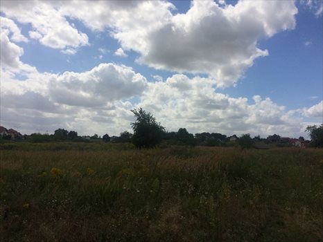 Działka budowlana na sprzedaż Mierzyn 1 486m2 Foto 3