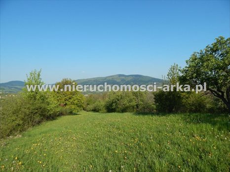 Działka budowlana na sprzedaż Skrzydlna 8 400m2 Foto 1