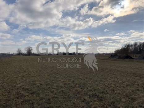 Działka inwestycyjna na sprzedaż Bierkowo 10 000m2 Foto 8