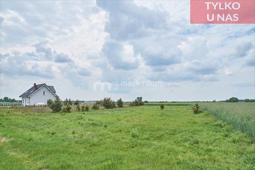 Działka budowlana na sprzedaż Radzewo 1 849m2 Foto 4