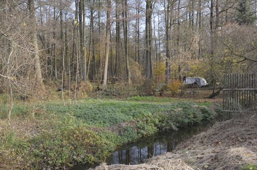 Dom na sprzedaż Świerczów 84m2 Foto 6