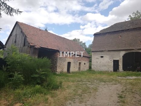 Dom na sprzedaż Żarska Wieś 120m2 Foto 10