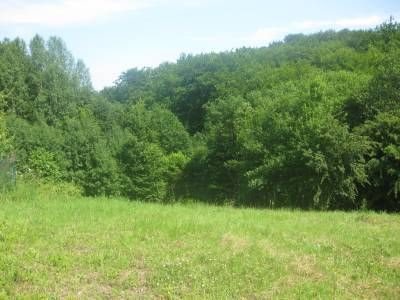 Działka budowlana na sprzedaż Kamionek Wielki, Kamionek Wielki 2 499m2 Foto 2