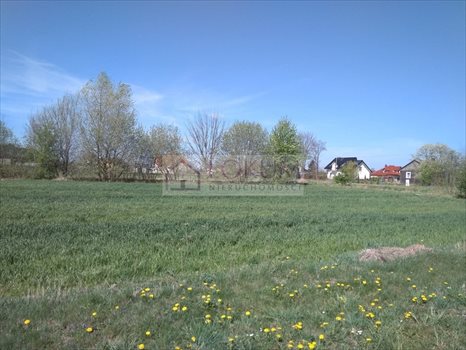 Działka budowlana na sprzedaż Majdan Krasieniński 1 800m2 Foto 1