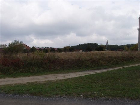 Działka budowlana na sprzedaż Rekowo 1 343m2 Foto 6