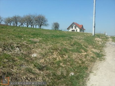 Działka budowlana na sprzedaż Wilczkowice 1 281m2 Foto 3