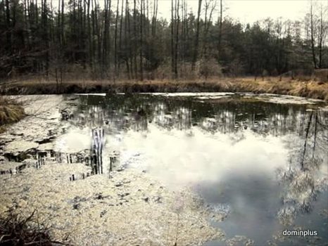 Działka inna na sprzedaż Brzozówka 3 500m2 Foto 5