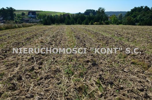 Działka budowlana na sprzedaż Michałowice, Dąbrowskich 1 200m2 Foto 2