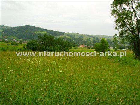 Działka budowlana na sprzedaż Dobra 1 900m2 Foto 3