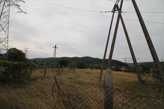 Działka budowlana na sprzedaż Pieszyce 2 624m2 Foto 4