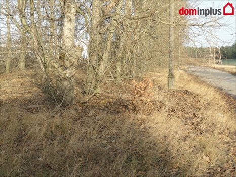 Lokal użytkowy na sprzedaż Toruń, os. Mokre 8 201m2 Foto 3