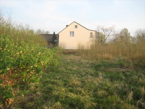 Działka rolna na sprzedaż Bierkowo, Leśna 3 241m2 Foto 5