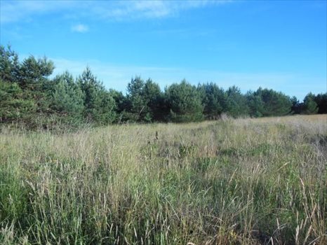 Działka budowlana na sprzedaż Gdańsk, Osowa, Myśliborska 563m2 Foto 4
